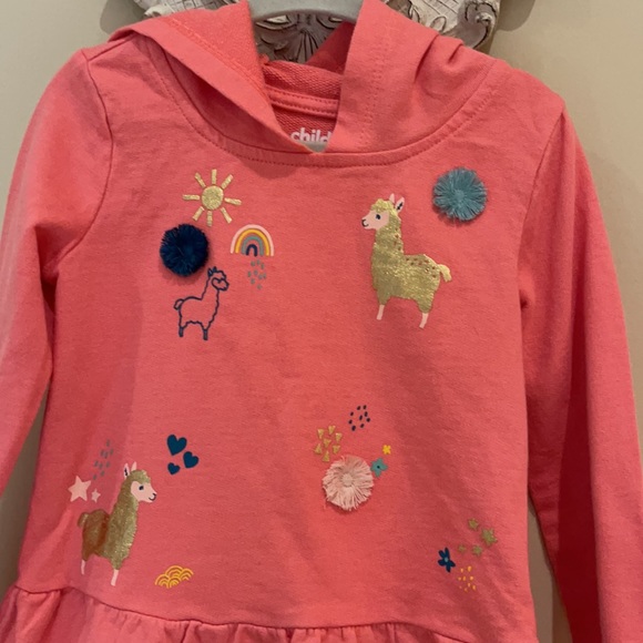 Child of mine by Carter’s Sweater with a Hoodie. D-9 - Picture 2 of 4